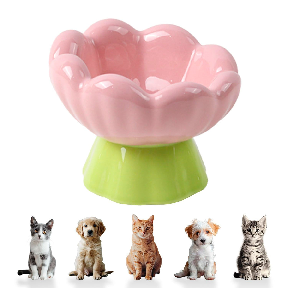 Bol DIF DECO chat surélevé rose tulipe, soutien du dos pendant les repas.