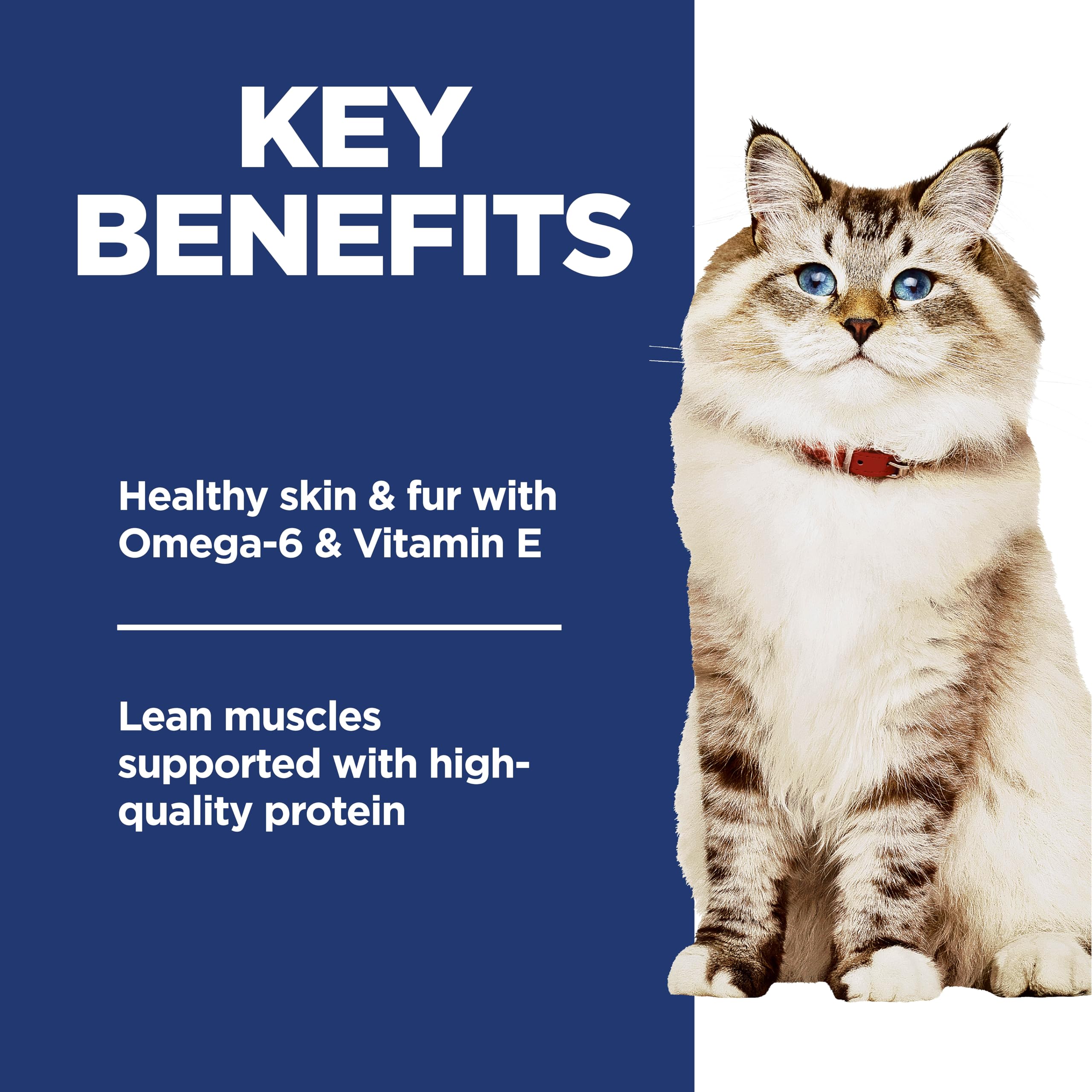 Digestion douce grâce aux fibres naturelles Hill's Science Diet.