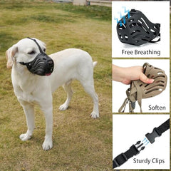 Diketone Muserolle grand-chien, ajustement elastique pour un maintien sûr.