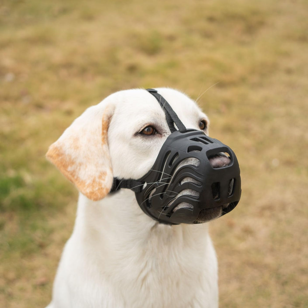Diketone masque-chien grande taille noir, confort durable pour chien puissant.