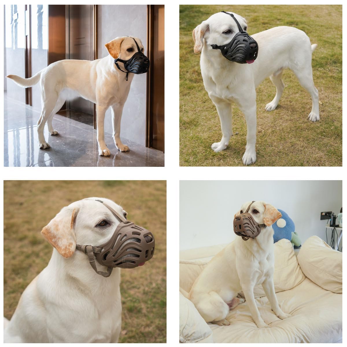 Diketone masque-chien nettoyage-eau, facile à laver pour une réutilisation rapide.