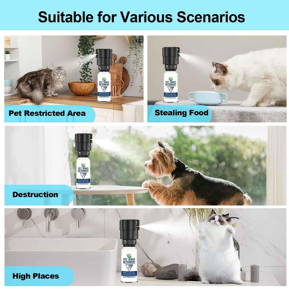 Diloqio spray près du comptoir et de la poubelle pour limiter les intrusions.