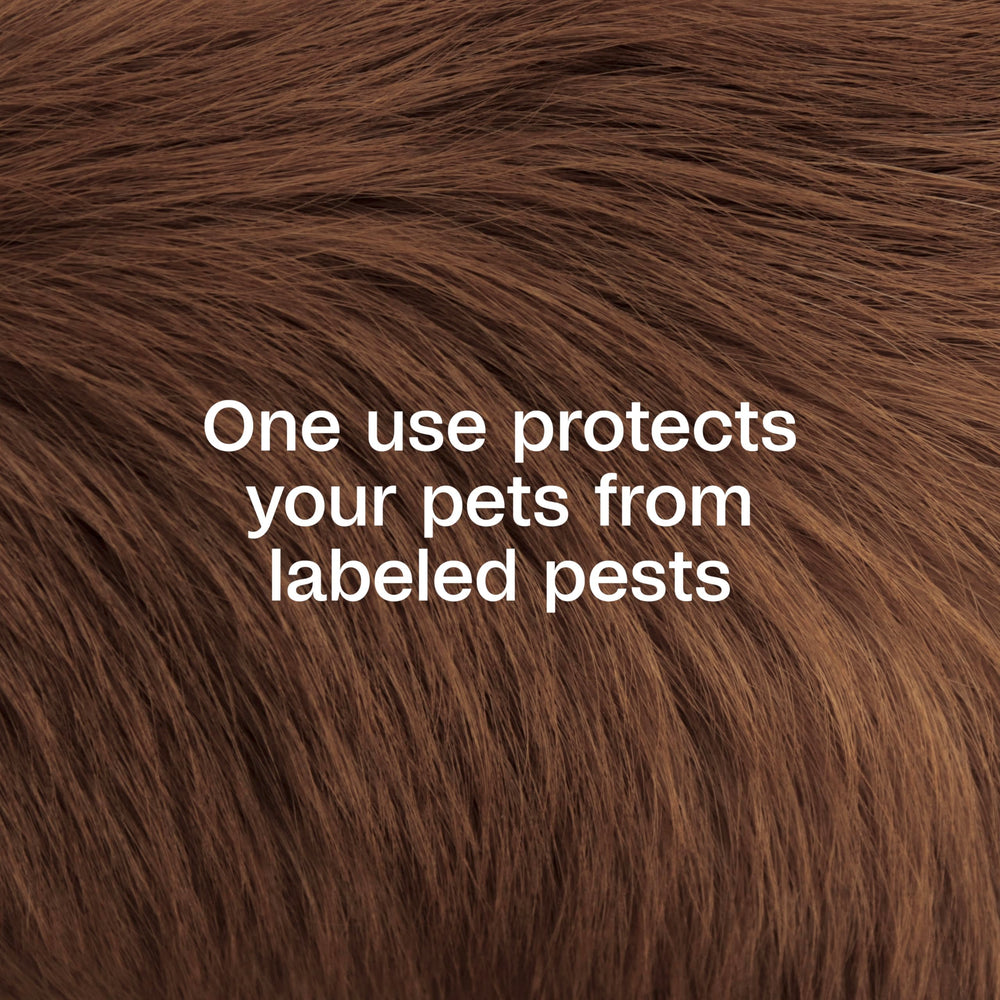 Dilution correcte du Dip ADAMS pour chien et chat