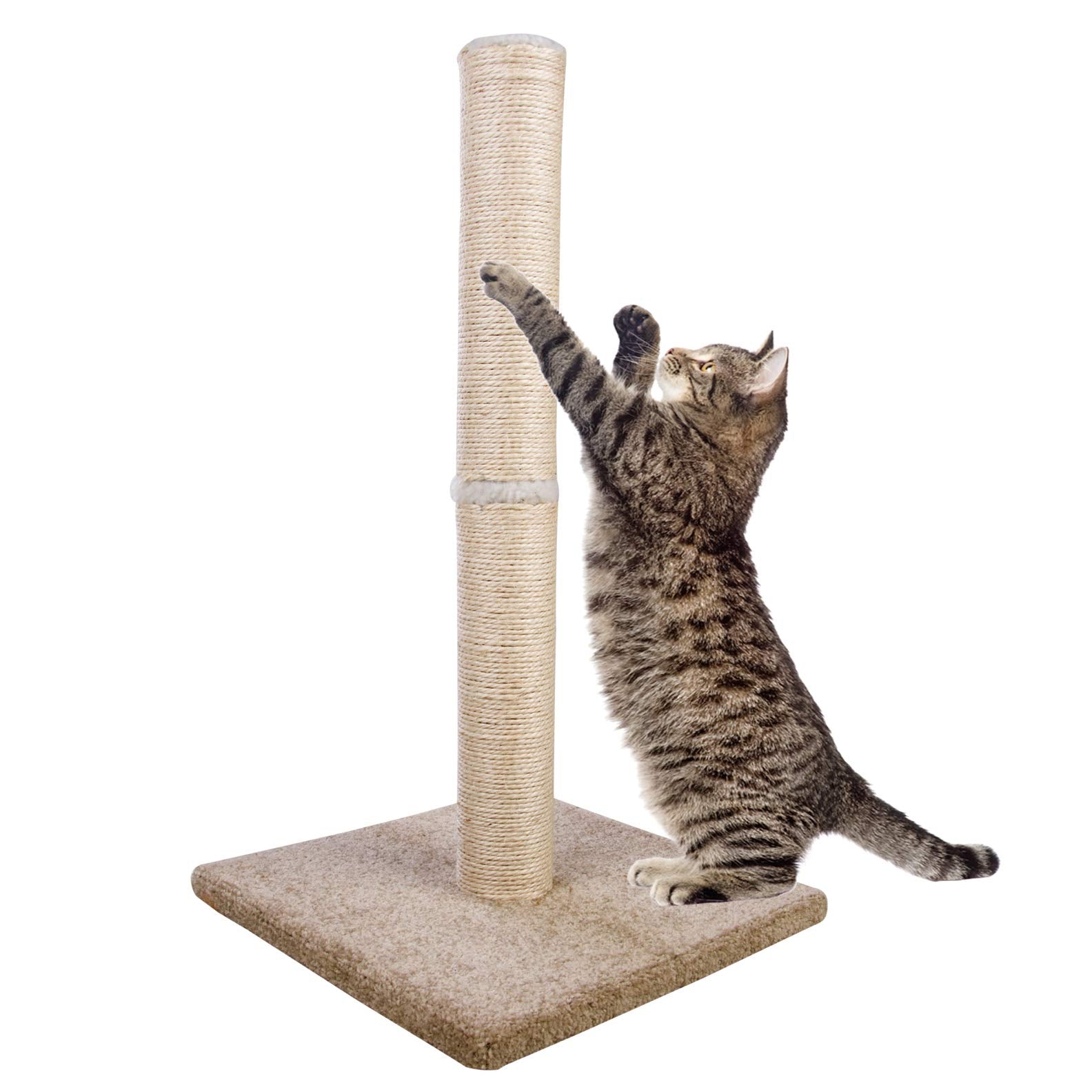 Dimaka poteau grattage pour chat, hauteur 74 cm, stabilité fiable