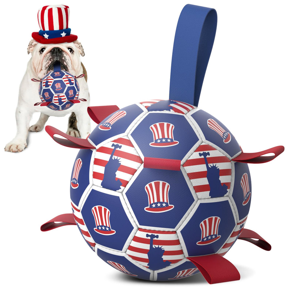 Diman balle de football chien extérieur, récupération et exercice faciles.