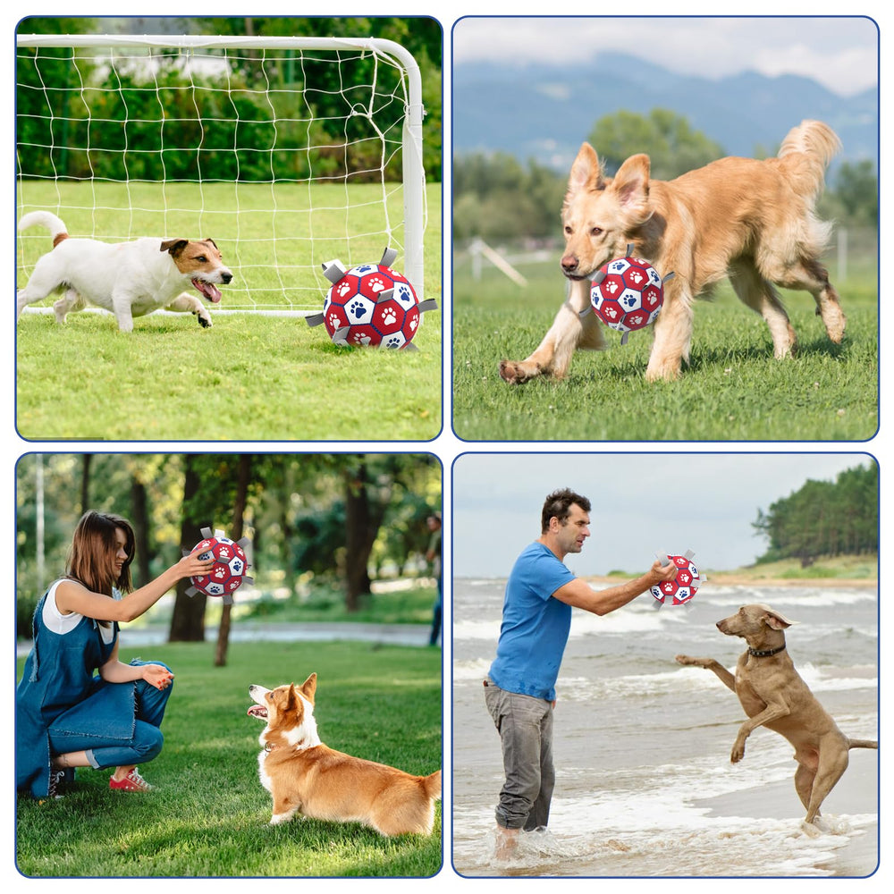 Diman ballon pour chien utile contre l'ennui et les destructions