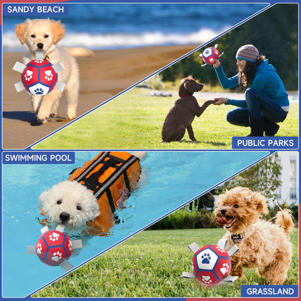 Diman Ballon-foot-chien-design-mondial, design premium et attrayant.
