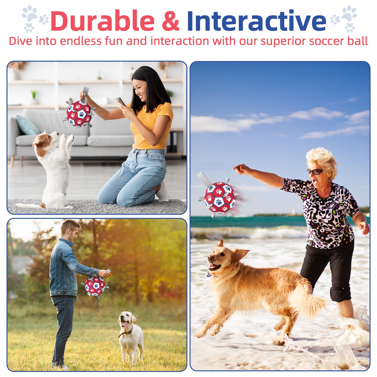 Diman balle jouet aquatique pour chien, flottant et divertissant sur plage ou piscine
