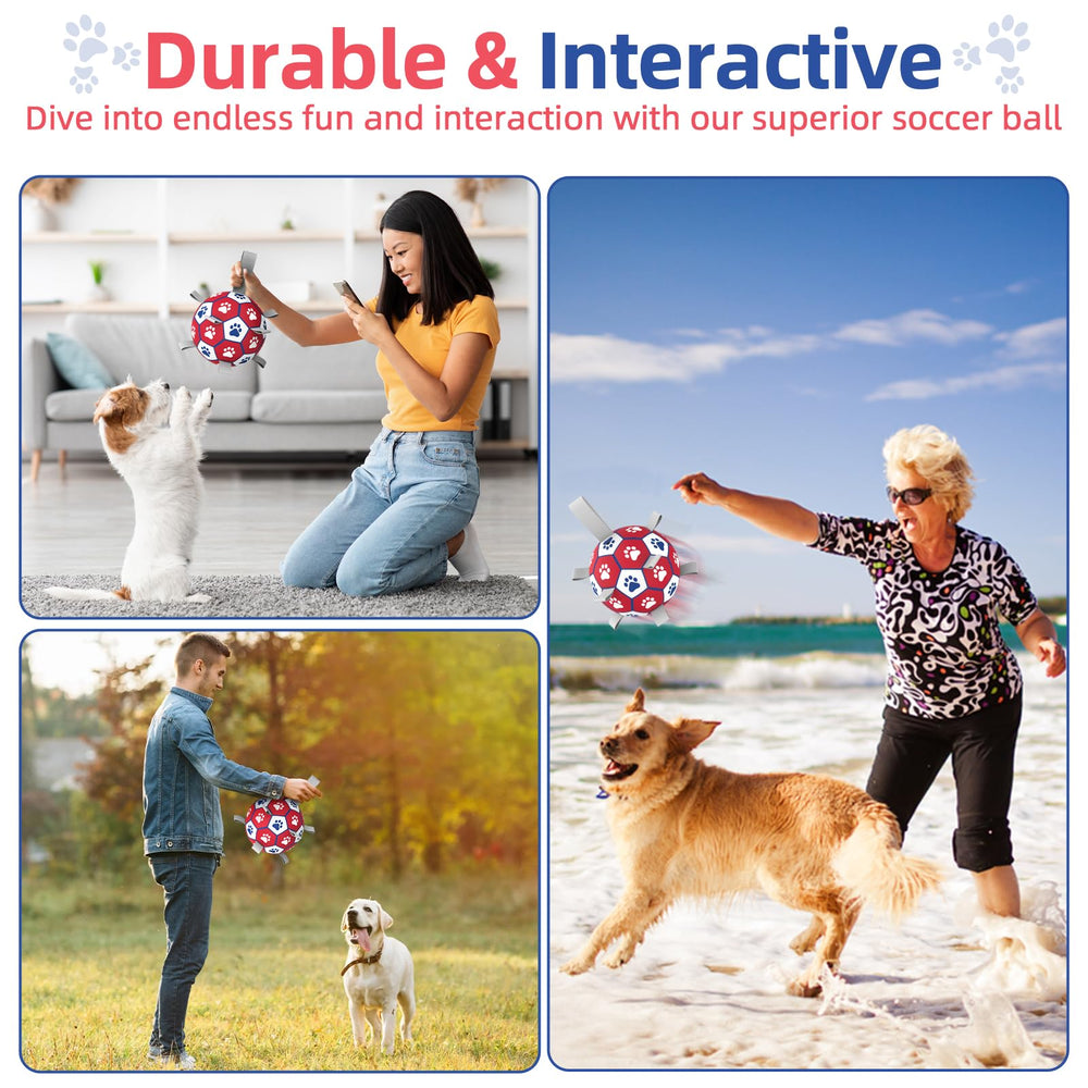 Diman balle jouet aquatique pour chien, flottant et divertissant sur plage ou piscine