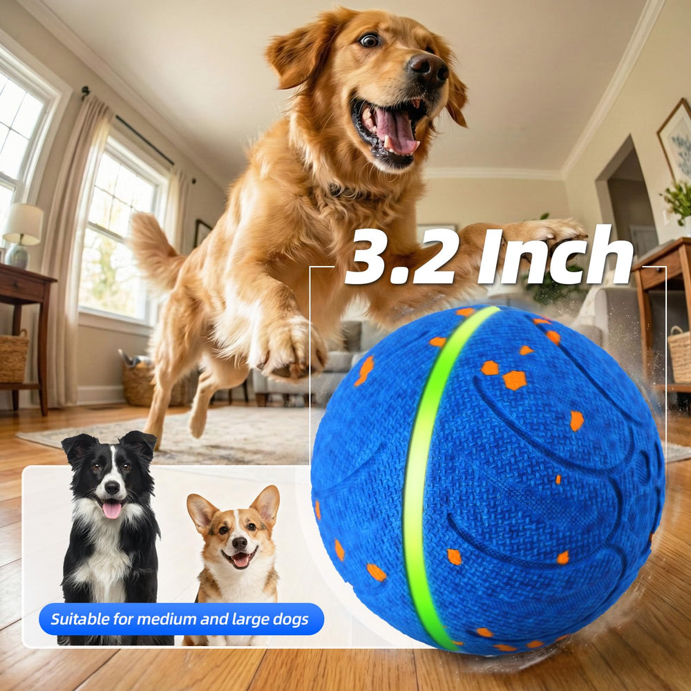 Diman cadeau jouet interactif pour chien, parfait et divertissant.