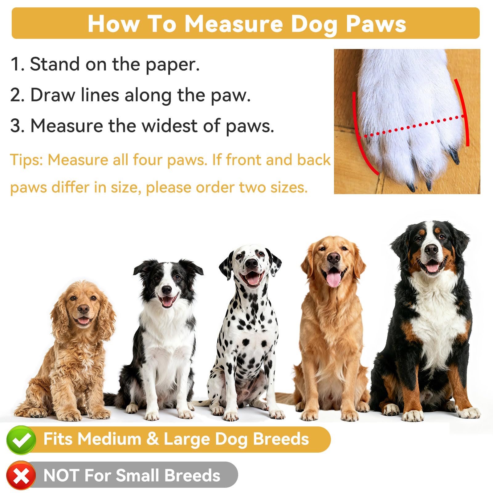 Dimicoo bottes chien protection contre pierres et verre pour pattes.