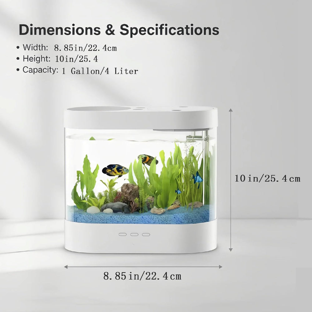 Habitat compact idéal betta ou guppy sur bureau.