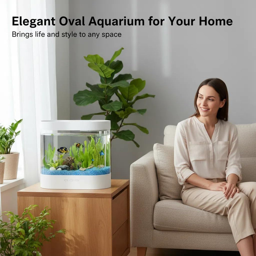 Éclairage 7 couleurs Dimind pour mettre en valeur les poissons.