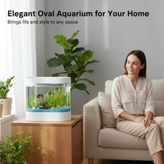 Éclairage 7 couleurs Dimind pour mettre en valeur les poissons.