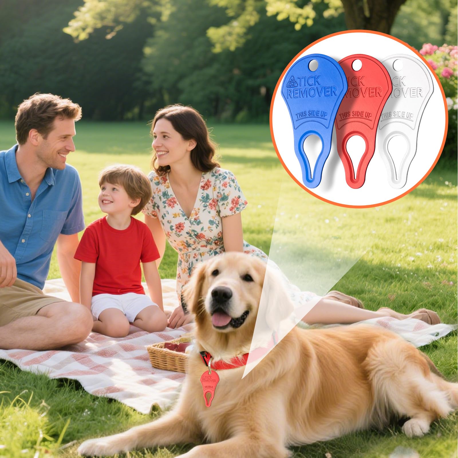 Dimsem outils tiques portables, durables et non toxiques pour activités extérieures.