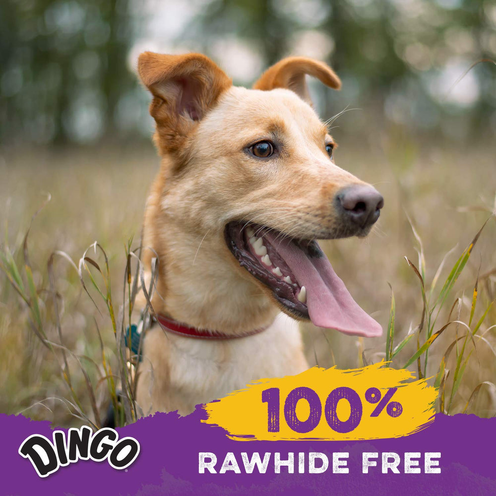 Dingo Delights : adaptée à toutes tailles de chiens, snack polyvalent.