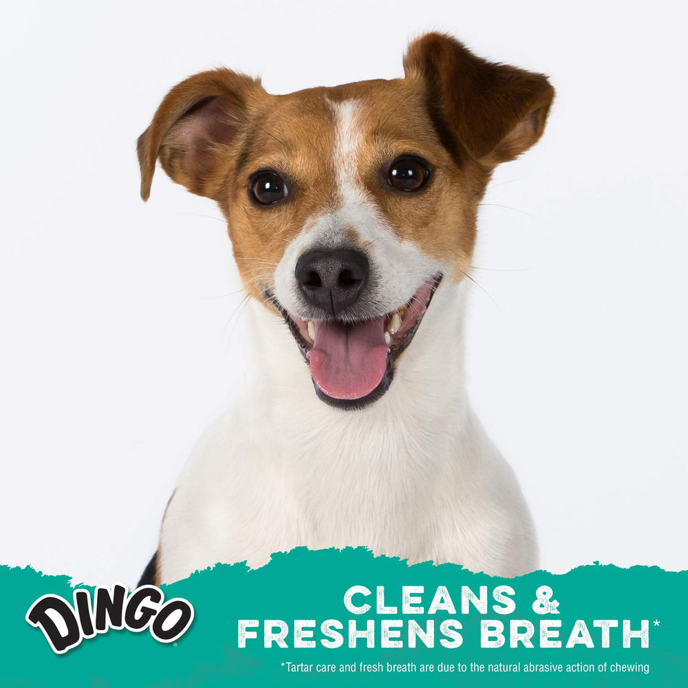 Spirales dentaires Dingo sachet réutilisable : conservation pratique et fraîcheur.