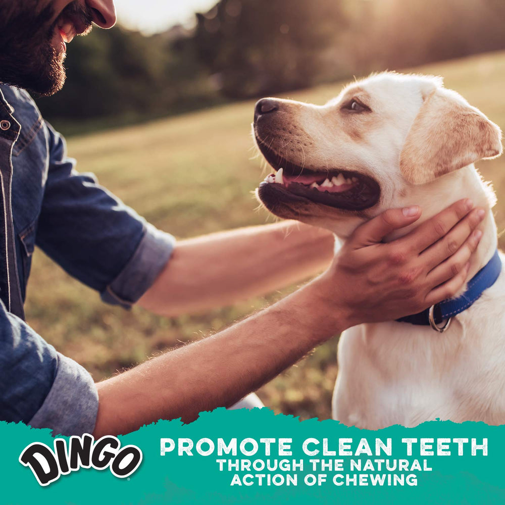 Dingo Dental Sticks offrent plaisir et haleine plus fraiche après usage.
