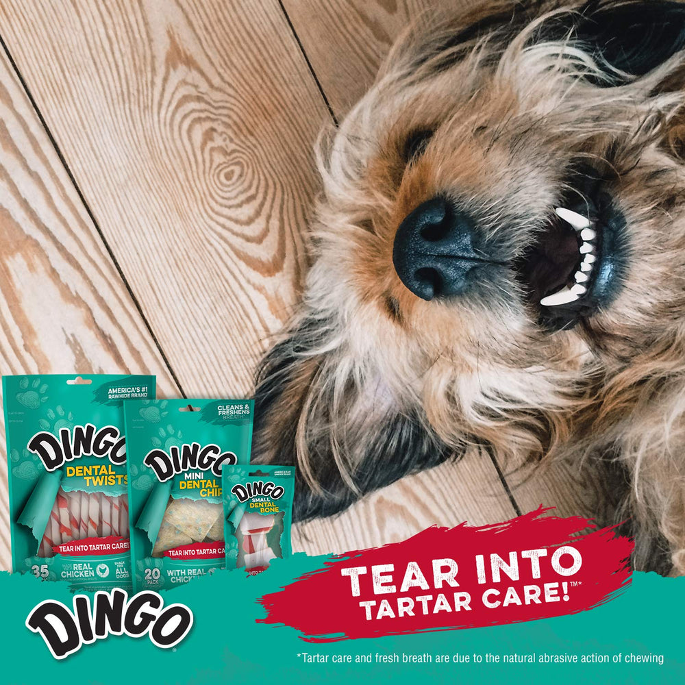 Dingo Dental Sticks tailles variees pour tous les chiens.