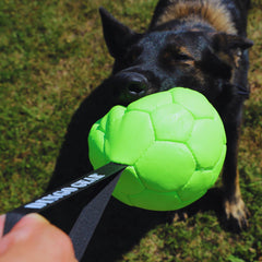 Ballon DINGO GEAR 1977 avec remplissage silicone durable et nettoyage facile.