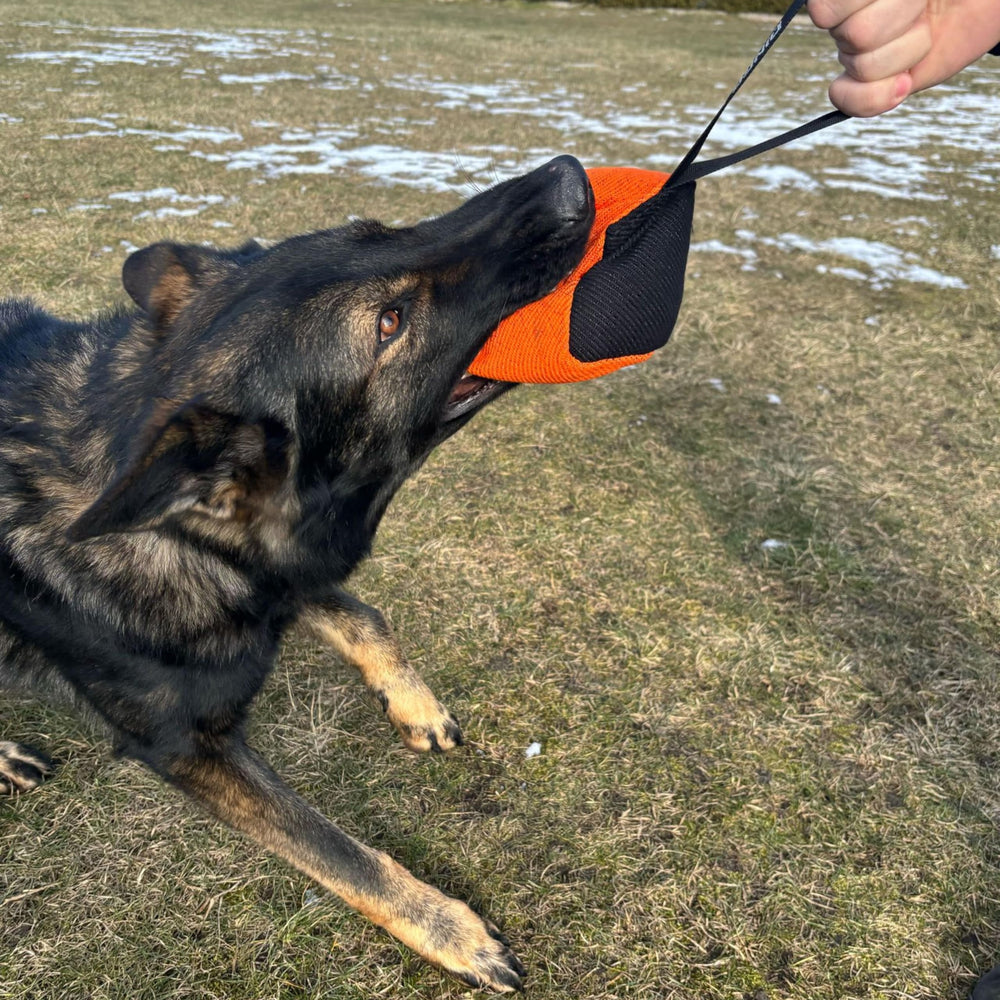 Dingo Gear: jouet traction avec poignées ergonomiques facilitant la prise et le contrôle.