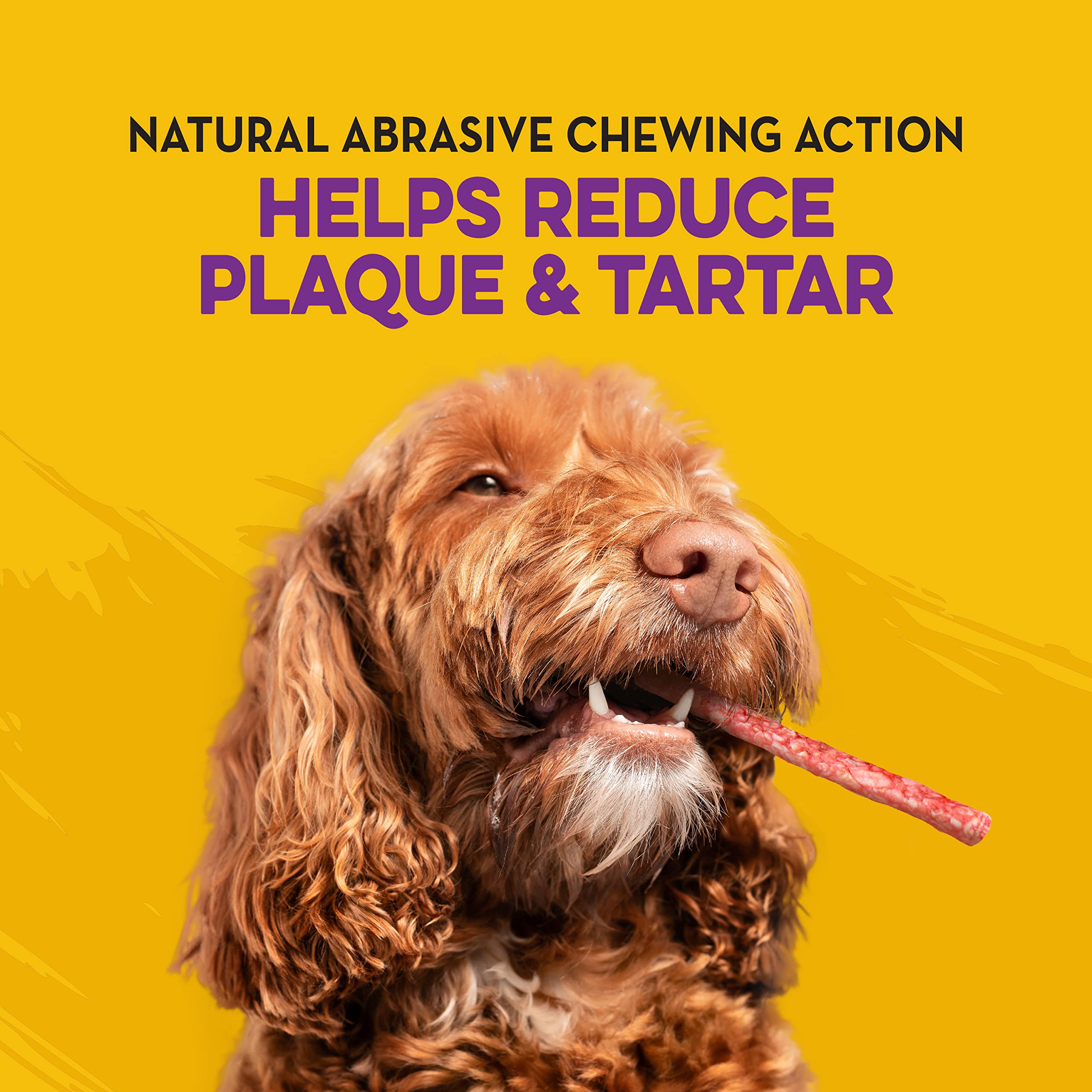 Dingo Munchy Stix pour chiens de toutes tailles lors des jeux et pauses.