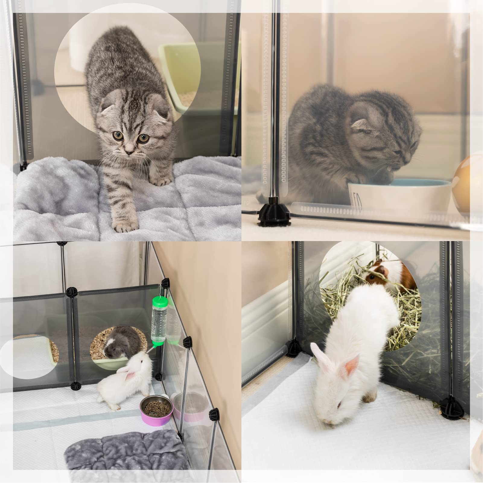 DINMO configurations à faire soi-même, personnalisation des zones d'activité pour l'animal.