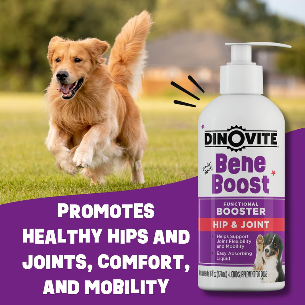 Dinovite BeneBoost utilisation quotidienne pratique pour chiens actifs ou âgés.