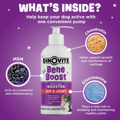 Dinovite BeneBoost ingrédients-glucosamine-chondroitine-msm-acide-hyaluronique: formulation ciblée pour la santé articulaire.