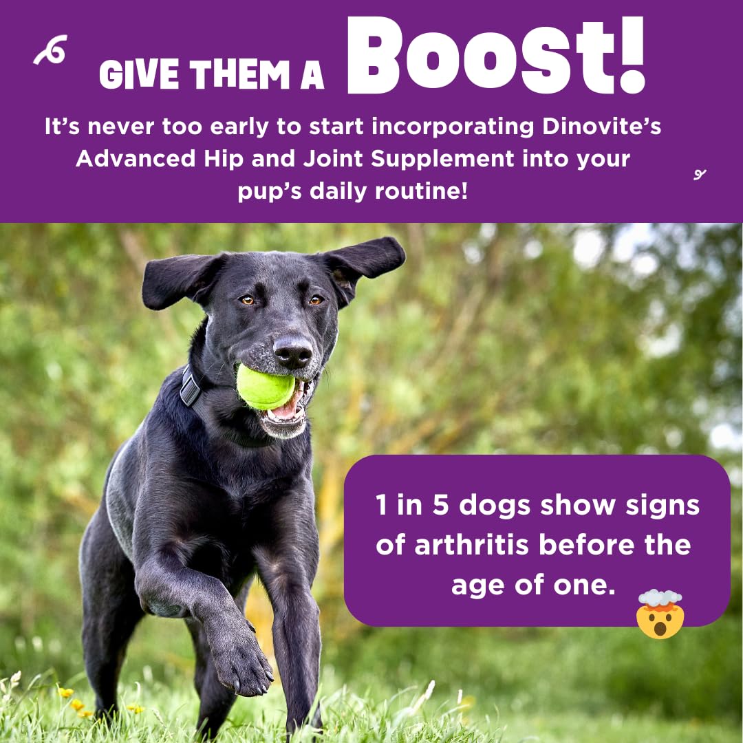 Dinovite BeneBoost saveur bacon appétissante pour chien.