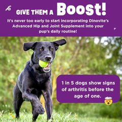 Dinovite BeneBoost saveur bacon appétissante pour chien.