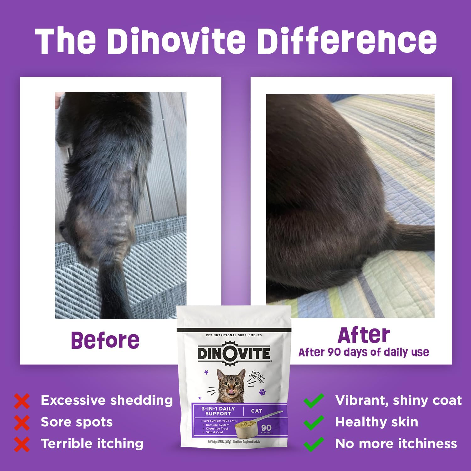 Dinovite chat – visuel sur les allergies saisonnières et le confort cutané.