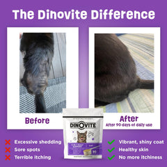 Dinovite chat – visuel sur les allergies saisonnières et le confort cutané.