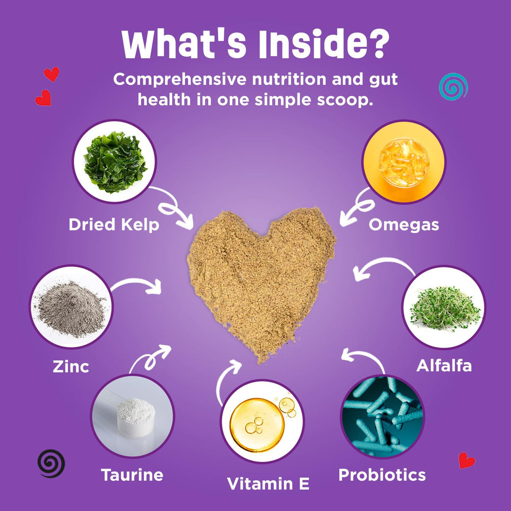 Dinovite chat – vitamines et minéraux pour le bien-être général.