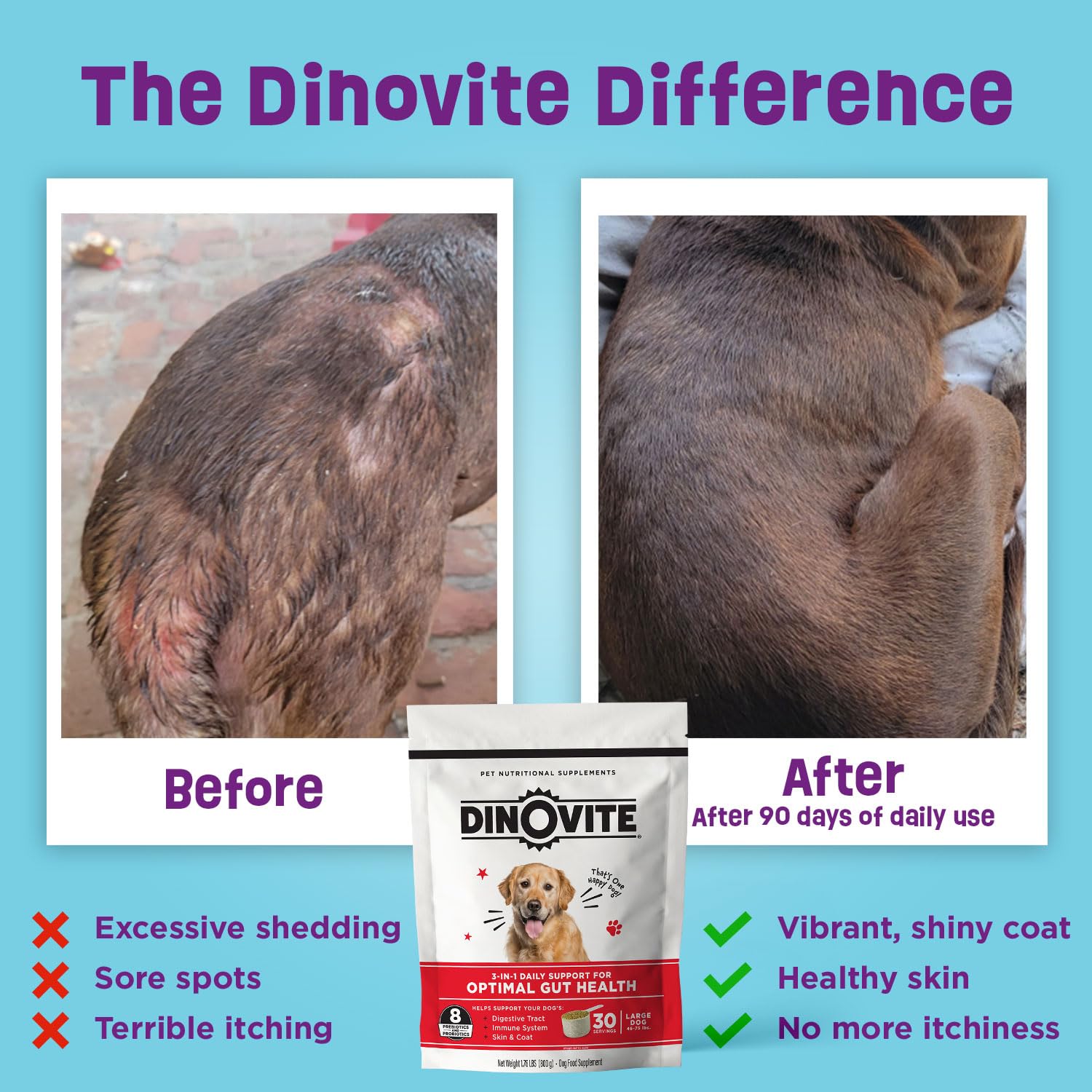 Chien au poil sain et brillant grâce à Dinovite Probiotique.