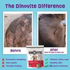 Dinovite Probiotiques chien peau-poil sain: oméga-3 pour pelage nourri.