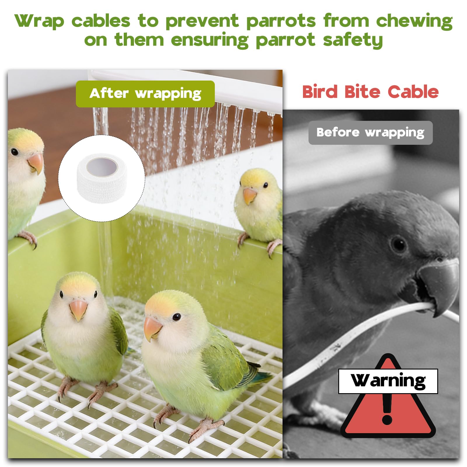 Baignoire pour perroquet grande cuve DINTSTYLE, adaptée aux petits groupes.