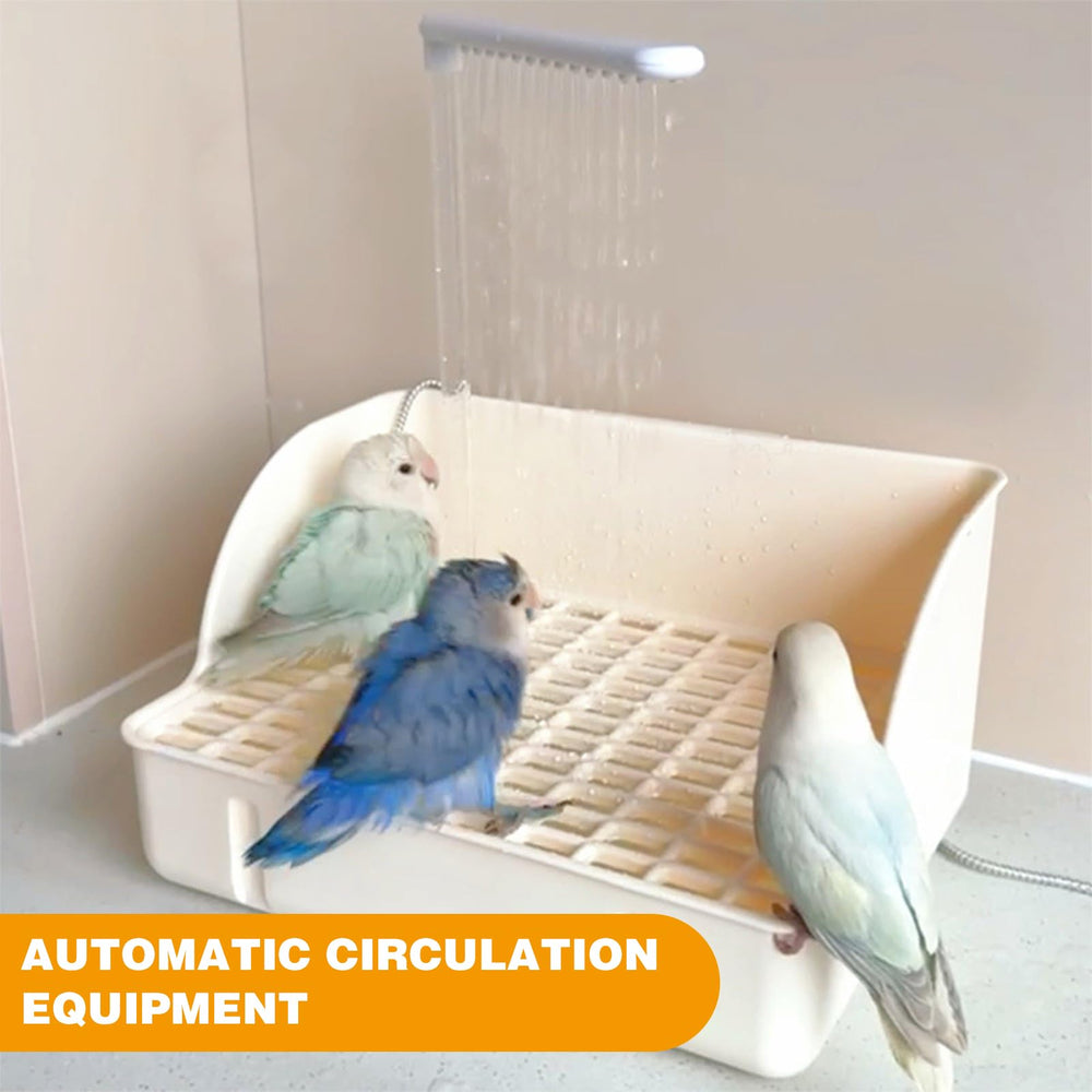 Accessoires robustes et sûrs, conçus pour les oiseaux joueurs.