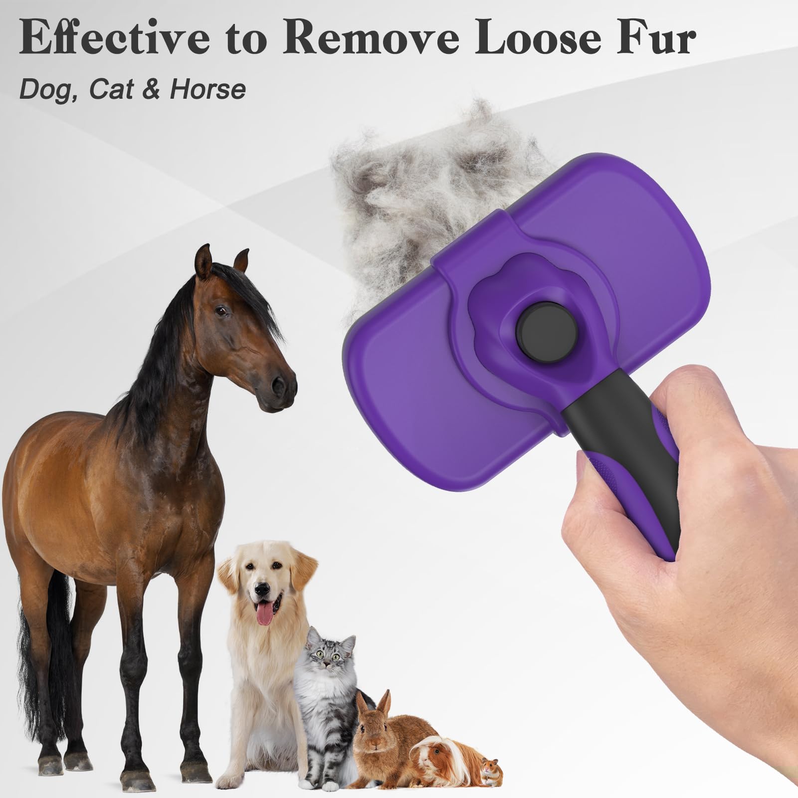 Brosse Dipoo adaptée à l usage intérieur et extérieur.