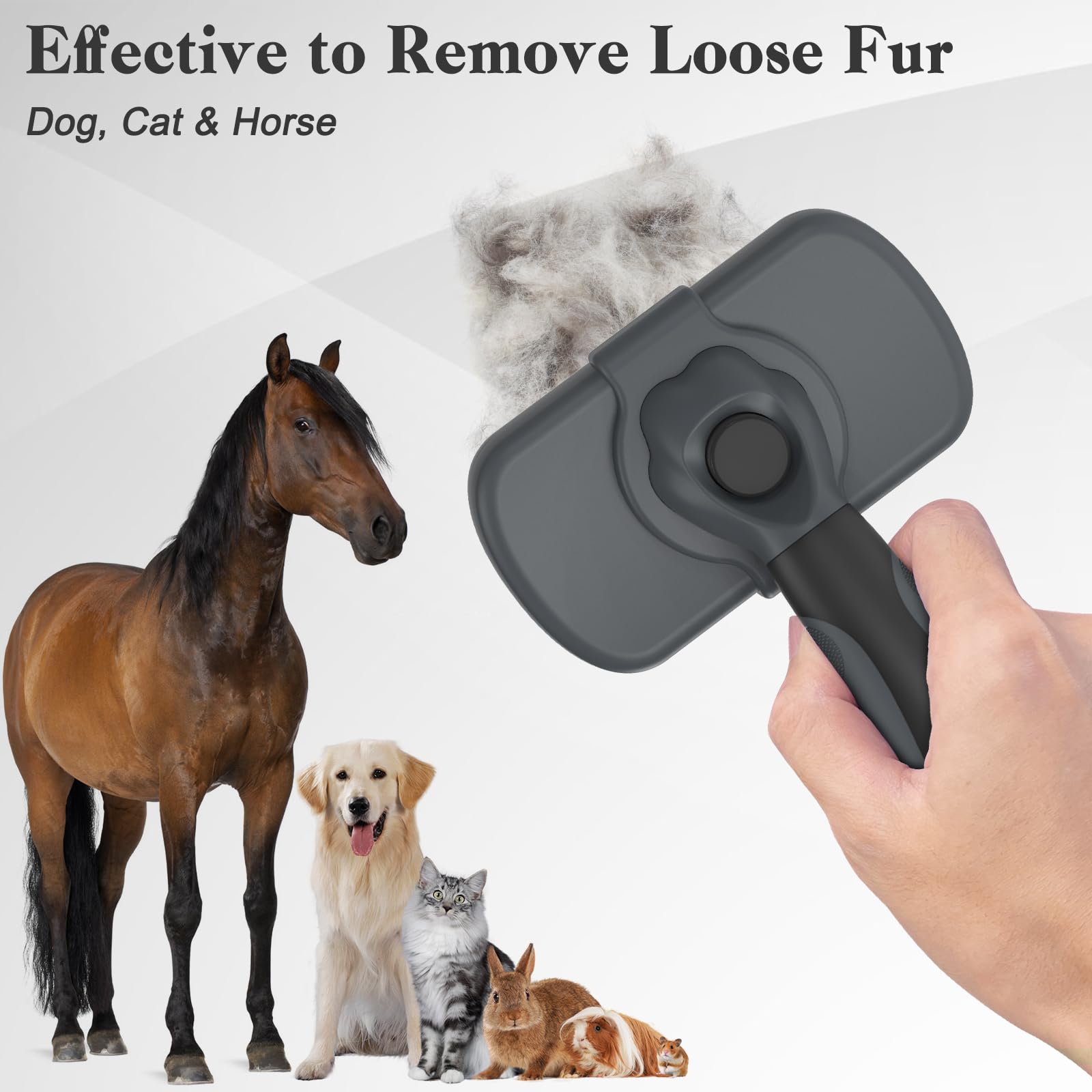 Dipoo brosse adaptée pour pelage long et court, routine de toilettage pratique.