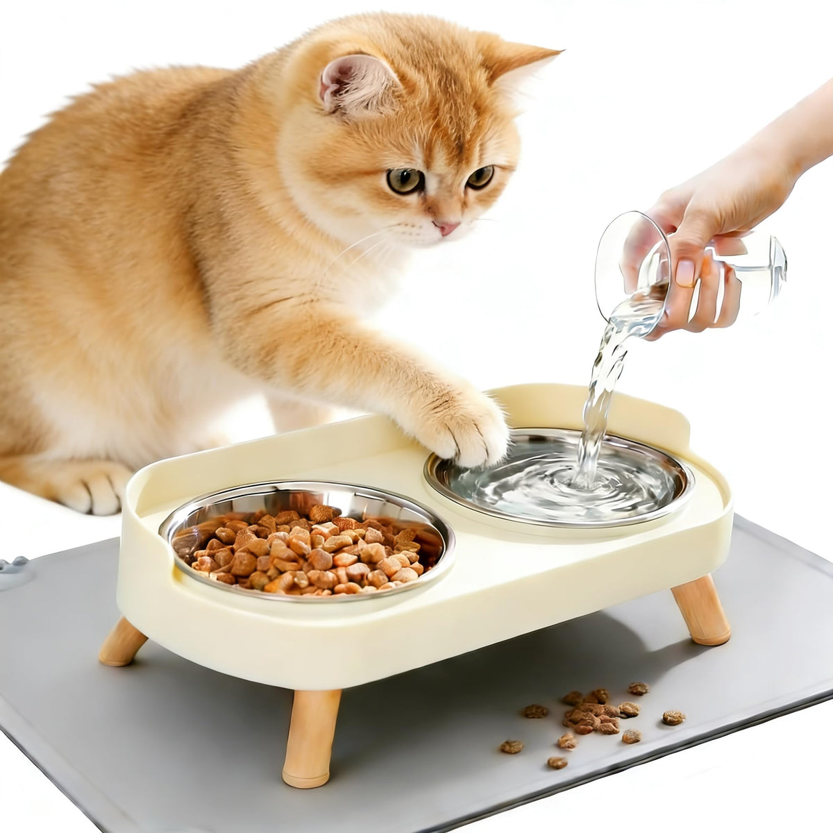 DIRZHX ensemble-bols-chat-hauts — favorise une posture naturelle lors des repas.
