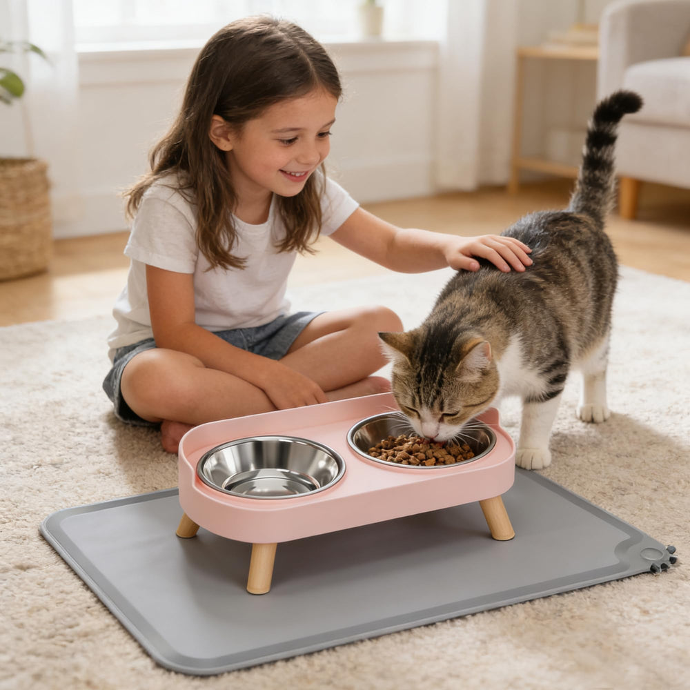 DIRZHX bols inox lavables au lave-vaisselle, entretien rapide.