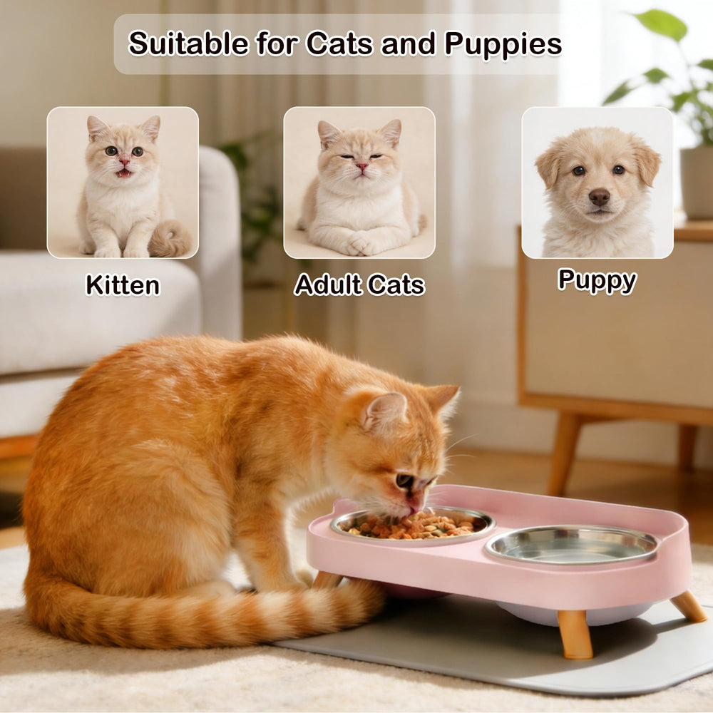 DIRZHX ensemble rose pour chat, design élégant et pratique pour la maison.
