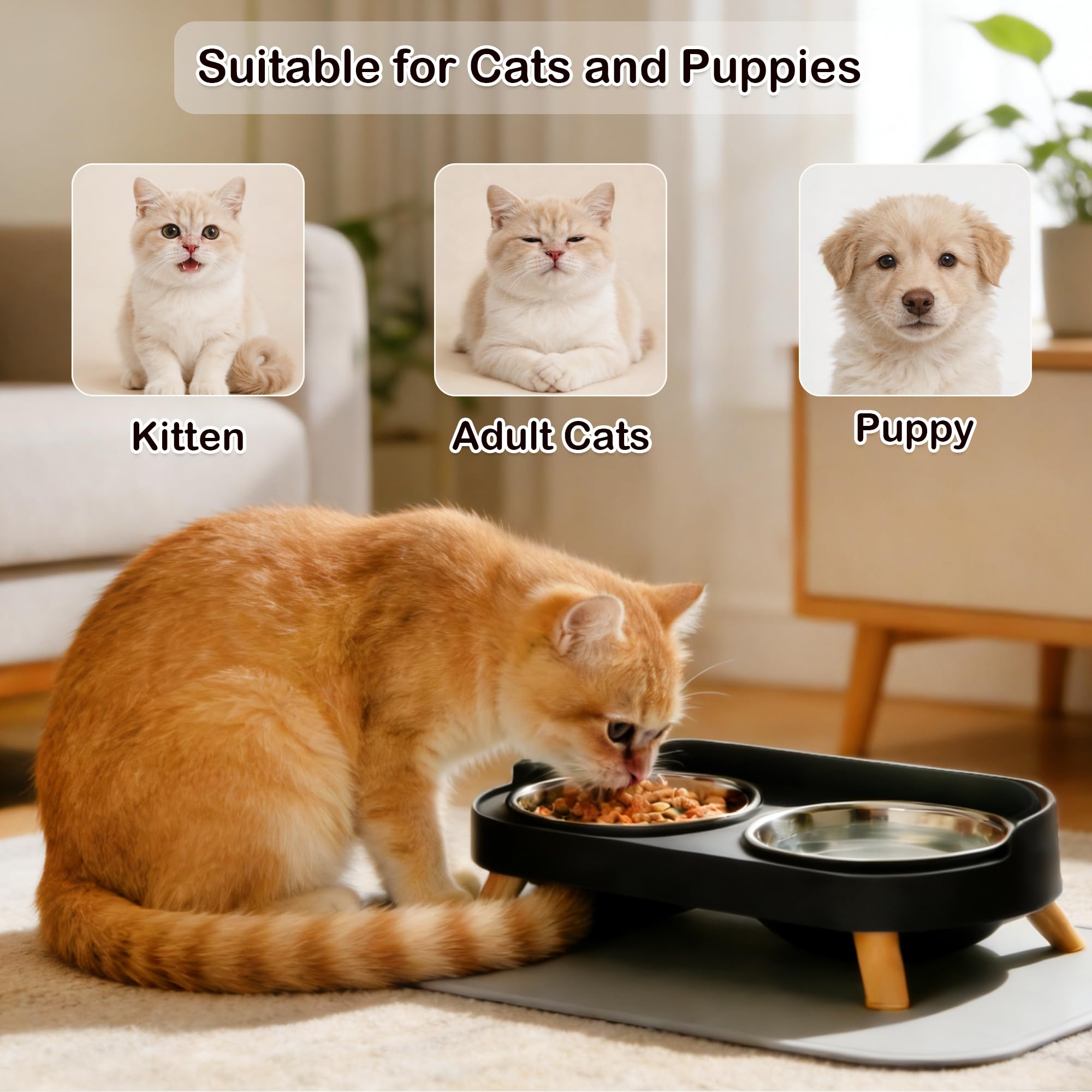 DIRZHX ensemble pour nourriture et eau, adapté aux chats et petits chiens.