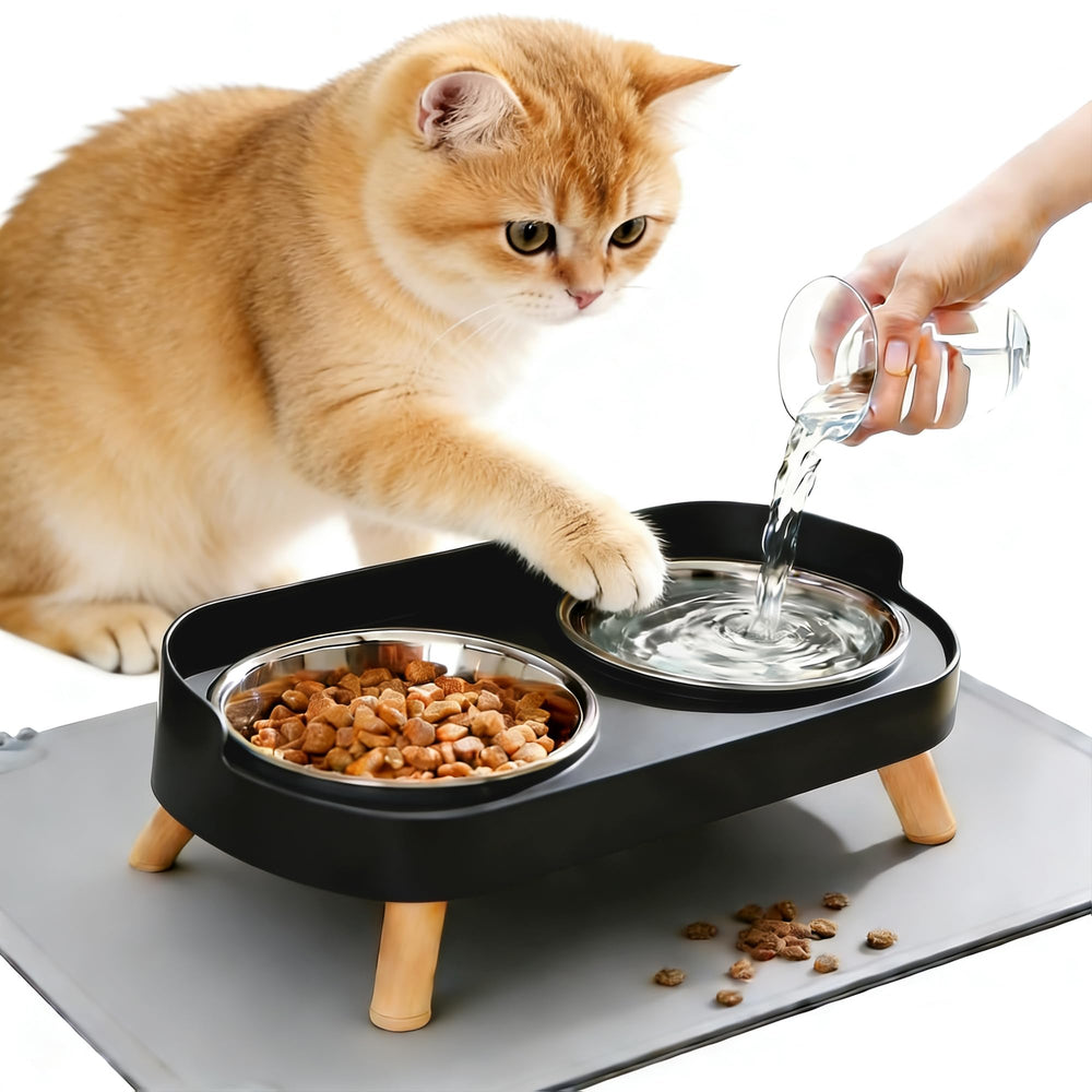 DIRZHX gamelle élevée pour chat, favorisant une posture naturelle au repas.