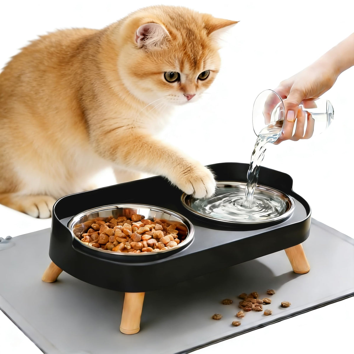 DIRZHX gamelle élevée pour chat, favorisant une posture naturelle au repas.