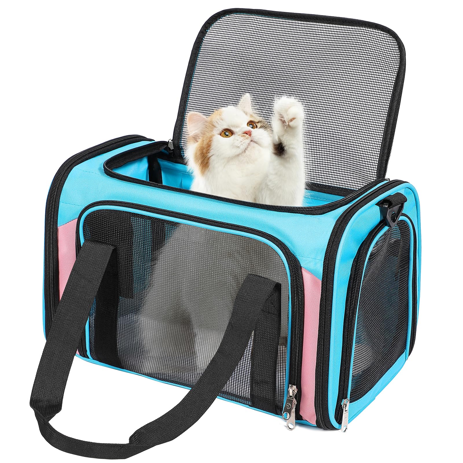 Porte-chat Discala avec ouverture de ventilation pour le confort en voyage