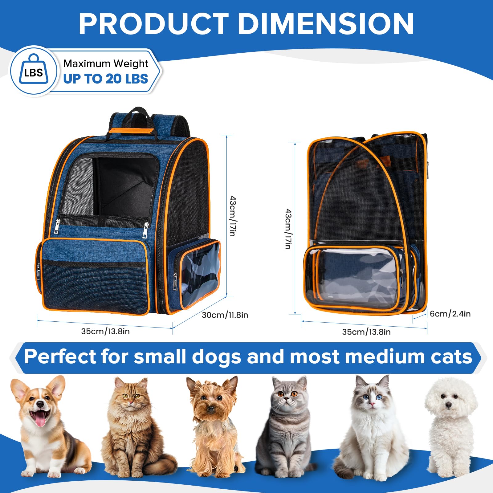 Discala sac à dos chat vue extérieure transparente pour surveillance et confort.