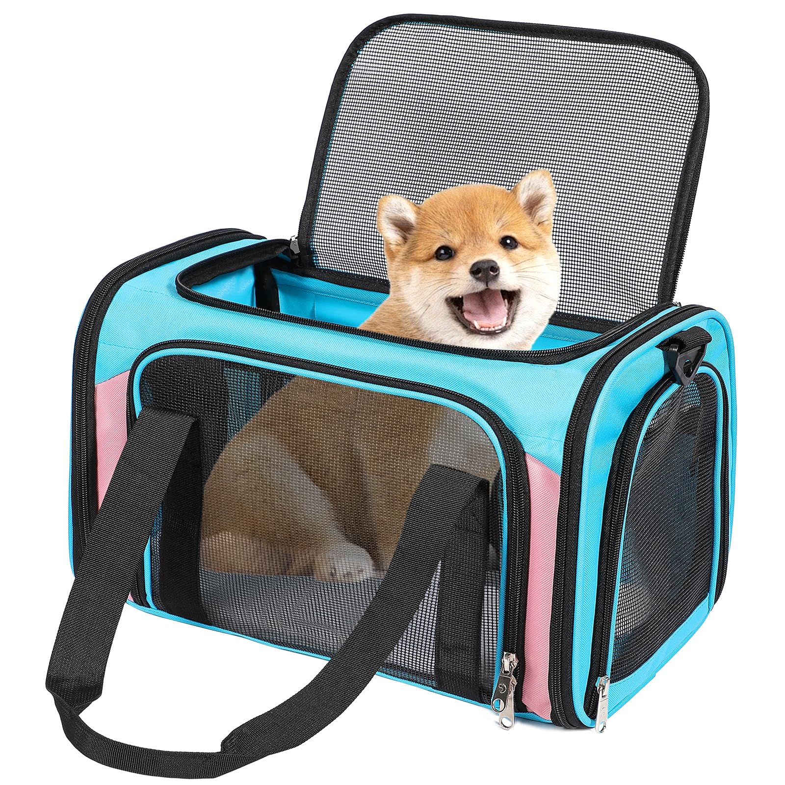 Discala sac transport chat bleu, léger et pratique pour trajets en voiture.
