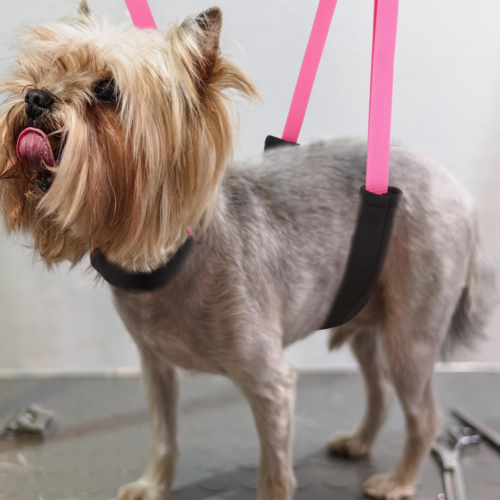DISCPETSEC boucles renforcées et attaches robustes, sécurité améliorée pendant le toilettage.